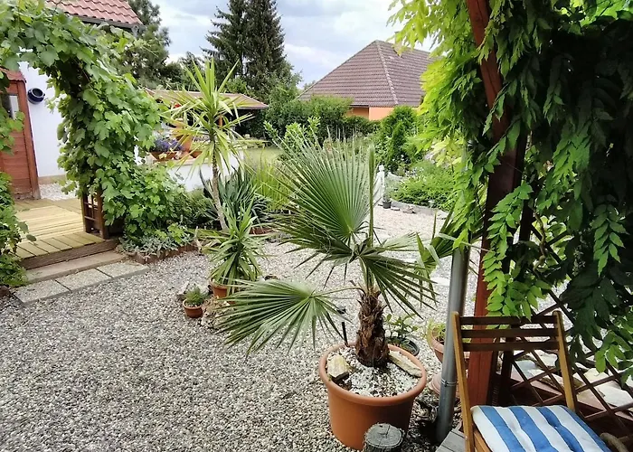 Casa vacanze Sophia Cozy Self Catering *